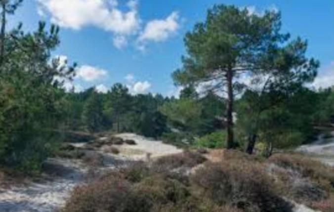 Huisje Britt Met Grote Tuin En Veel Privacy Dirkshorn エクステリア 写真
