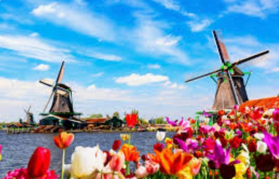 Huisje Britt Met Grote Tuin En Veel Privacy Dirkshorn エクステリア 写真