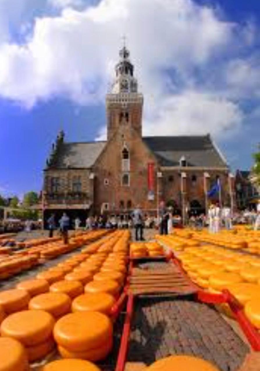 Huisje Britt Met Grote Tuin En Veel Privacy Dirkshorn エクステリア 写真